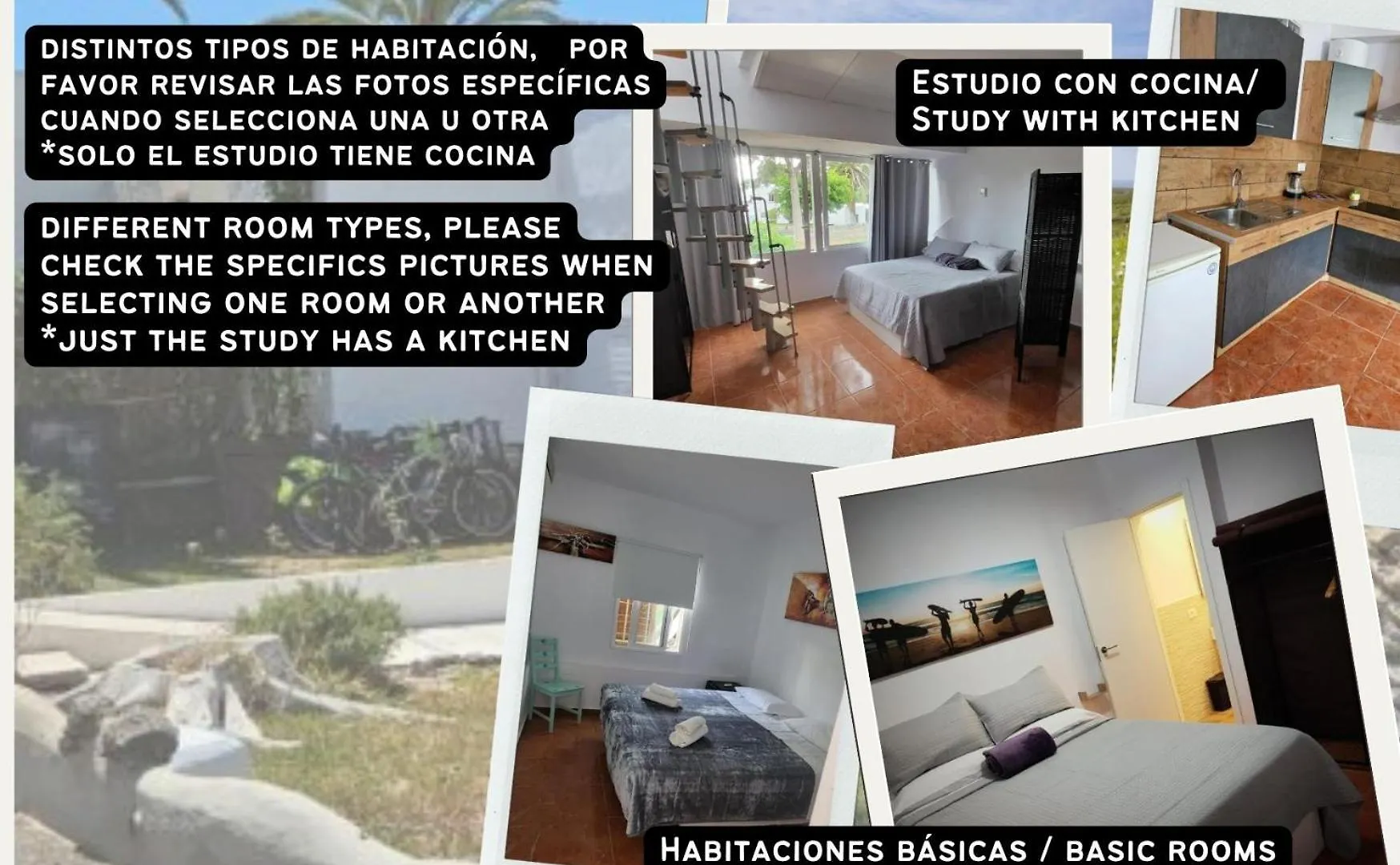 ארונה Captain Morgan House